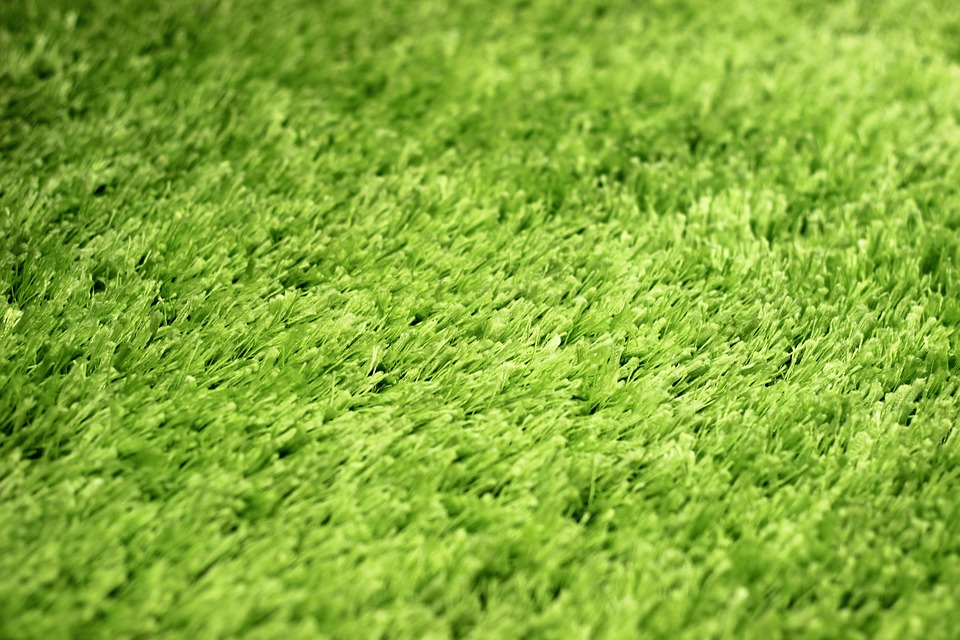 zelený koberec